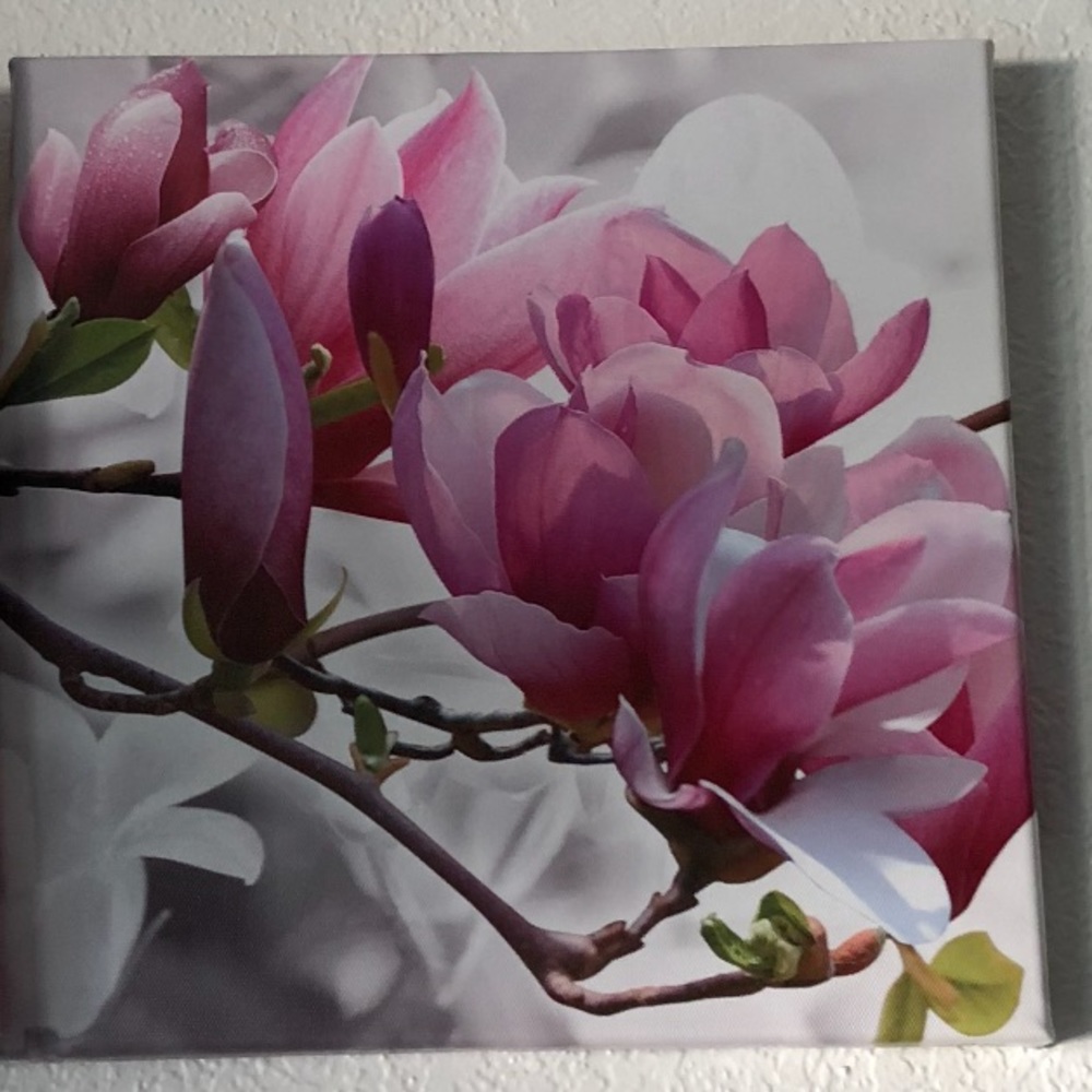 Picture canvas 12x12 in x 3 pieces